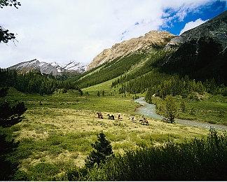 《妖怪手表》迎来系列10周年 特别网站现已开放